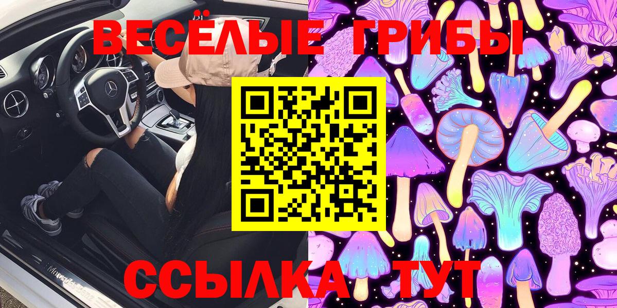 Кизляр  Псилоцибиновые грибы ЛСД  Вход с VPN 